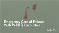 Emergency Care of Patients With Wildlife Encounters