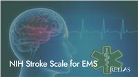 NIH Stroke Scale for EMS