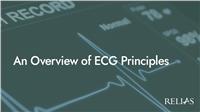 An Overview of ECG Principles