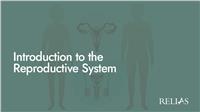 Introduction to the Reproductive System