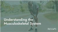 Understanding the Musculoskeletal System