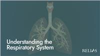 Understanding the Respiratory System