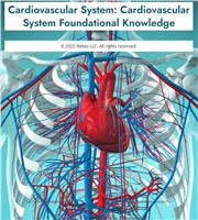 Cardiovascular System: Cardiovascular System Foundational Knowledge