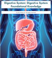 Digestive System: Digestive System Foundational Knowledge