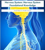 Nervous System: Nervous System Foundational Knowledge