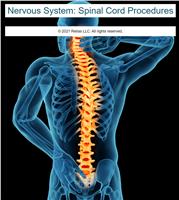 Nervous System: Spinal Cord Procedures