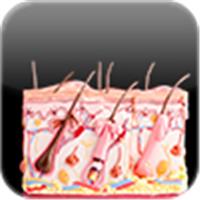 Integumentary System: Repair Procedures