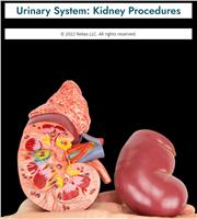 Urinary System: Kidney Procedures