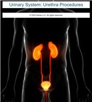 Urinary System: Urethra Procedures