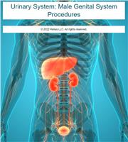 Urinary System: Male Genital System Procedures