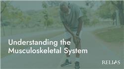 Understanding the Musculoskeletal System