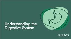 Understanding the Digestive System