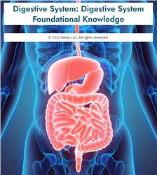 Digestive System: Digestive System Foundational Knowledge