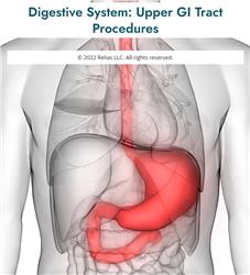 Digestive System: Upper GI Tract Procedures