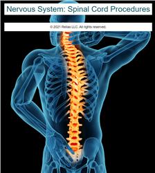 Nervous System: Spinal Cord Procedures