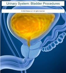 Urinary System: Bladder Procedures