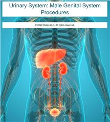 Urinary System: Male Genital System Procedures