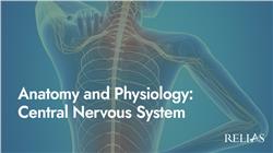 Anatomy and Physiology: Central Nervous System