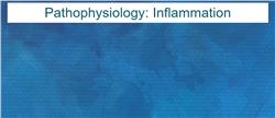 Pathophysiology: Inflammation