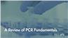 A Review of PCR Fundamentals