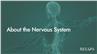 About the Nervous System