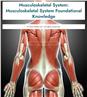 Musculoskeletal System: Musculoskeletal System Foundational Knowledge