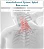 Musculoskeletal System: Spinal Procedures