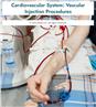 Cardiovascular System: Vascular Injection Procedures