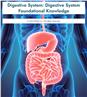 Digestive System: Digestive System Foundational Knowledge