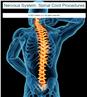 Nervous System: Spinal Cord Procedures