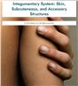 Integumentary System: Skin, Subcutaneous, and Accessory Structures