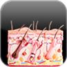 Integumentary System: Repair Procedures