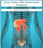 Urinary System: Male Genital System Procedures