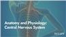 Anatomy and Physiology: Central Nervous System